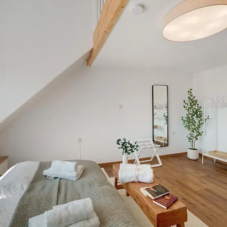 Altstadthaus Burkheim 別荘 フォグツブルク